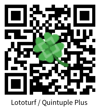 Dokumentace Lototurf / Quintuple Plus 