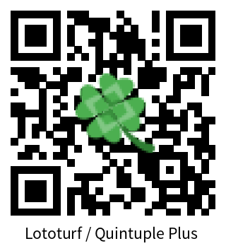 תיק Lototurf / Quintuple Plus 