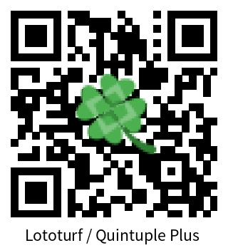 Dokumentáció Lototurf / Quintuple Plus 