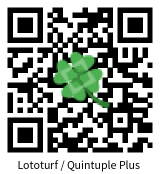 Dokumentation Lototurf / Quintuple Plus 