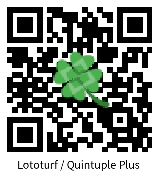 档案 Lototurf / Quintuple Plus 